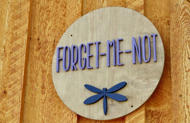 Arctic Dragonfly Inn - Foto 16