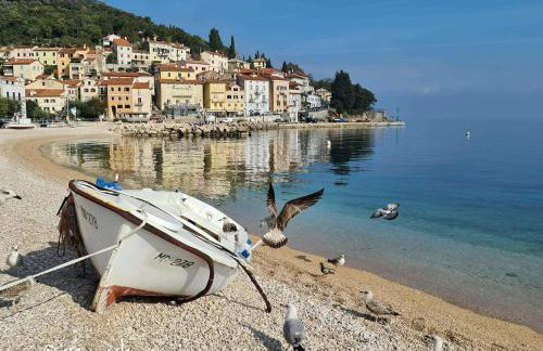 Apartments Blue & Green - Foto 39