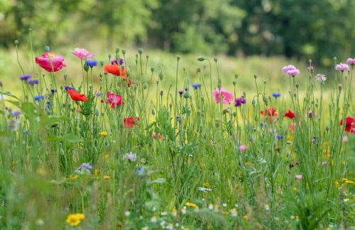 Casa Ponte da Vessada - Foto 78