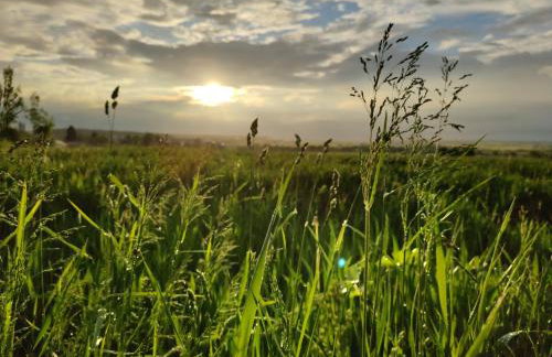 Ferienwohnung Hemer - Foto 32