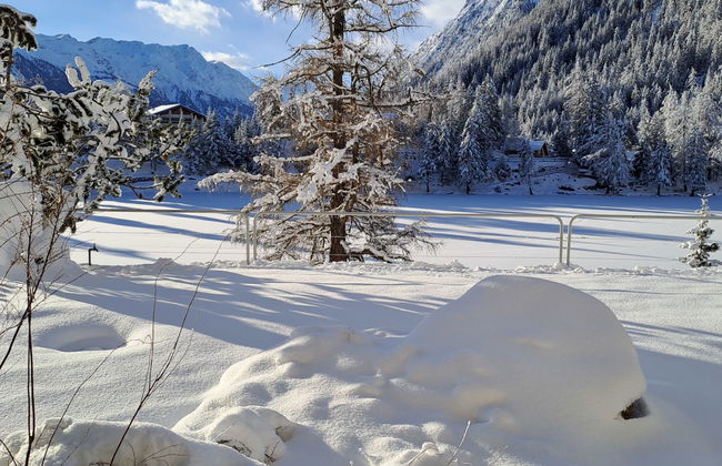Alpes et Lac 2 - Foto 20