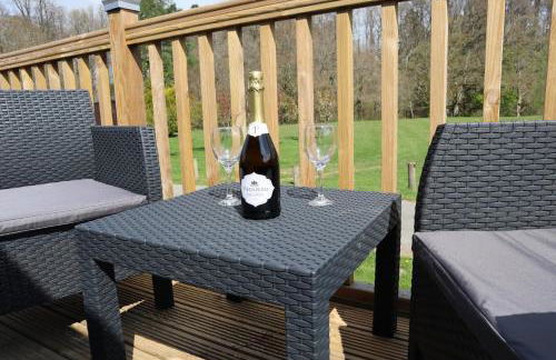 HEDDFAN, Luxury 3 bedroom timber lodge, Now with WiFi, Caer Beris Holiday Park, Builth Wells, SORRY NO TRADESMEN OR CONTRACTORS ALLOWED - Foto 30