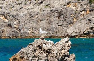 Odysseus Villa - Foto 79