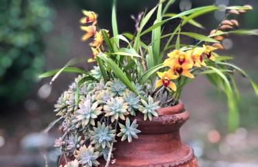 Quinta Da Bela Vista - Photo 48