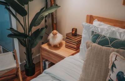 The Willow, Catskill - Foto 53