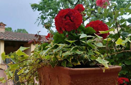 V . P. 23 Mugello - Foto 39