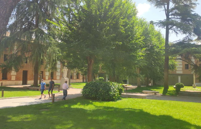 Alcalá de Henares Day Trip - Photo 12