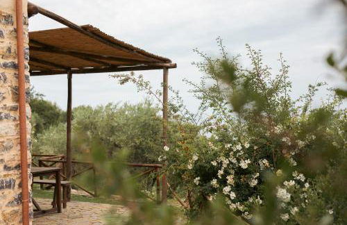 Casolare Cento Ulivi Luxury & Charme - Foto 73