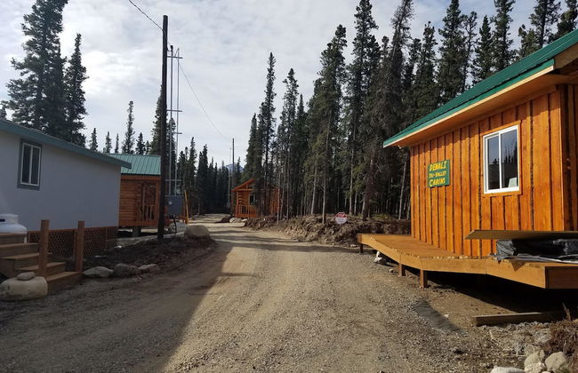 Denali Tri-Valley Cabins - Foto 69