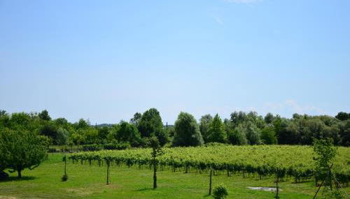 Là Di Anselmi - Foto 3, Garden