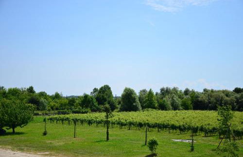 Là Di Anselmi - Foto 3