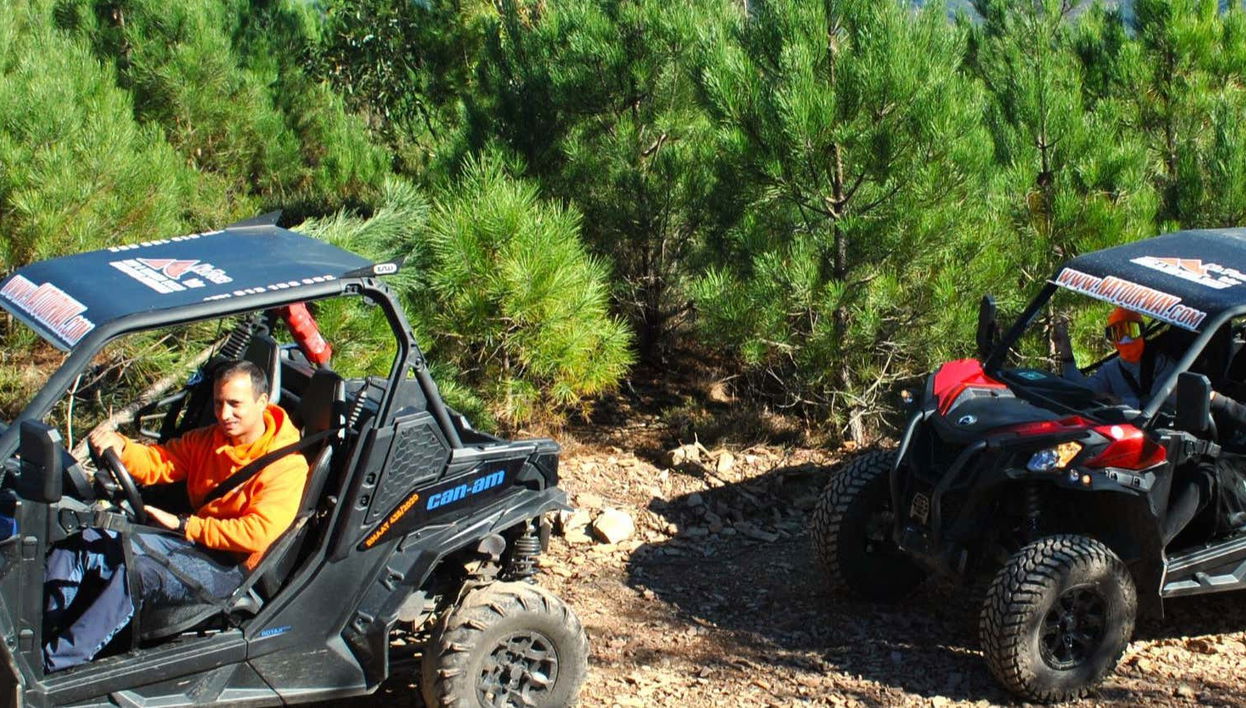 Tour en buggy por Arouca