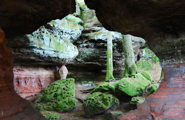 Holiday House on Bornfeld - Photo 33