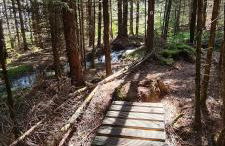 Haus Kellerwald - Ferienwohnung Kellerwald-Edersee - Foto 34