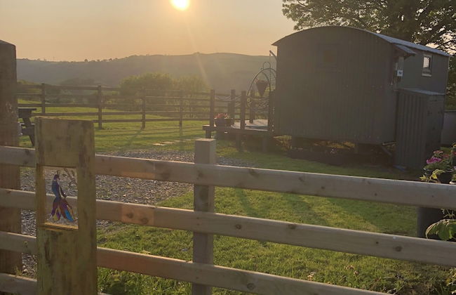 The Peacock Shepherds Hut at Hafoty Boeth - Foto 32