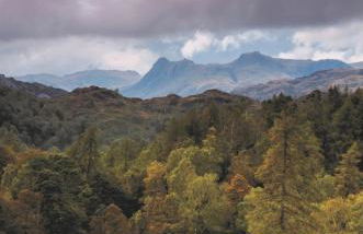 Yewfield Self Catering Apartments - Foto 16