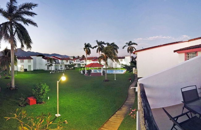 HominngBird - Foto 75