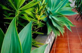 Apartamentos Los Verodes - Foto 102