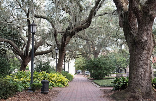 Kasa Jules Savannah - Foto 78