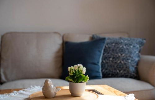 Kornblume - a64867 - Foto 9