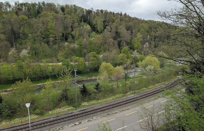 Lamira Serviced Apartments Zurich City - Foto 70