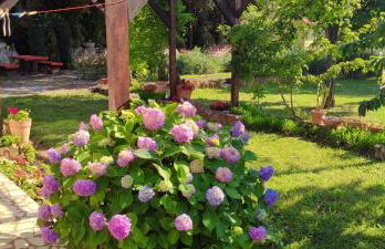 apartmani Nina Šišan - Foto 8