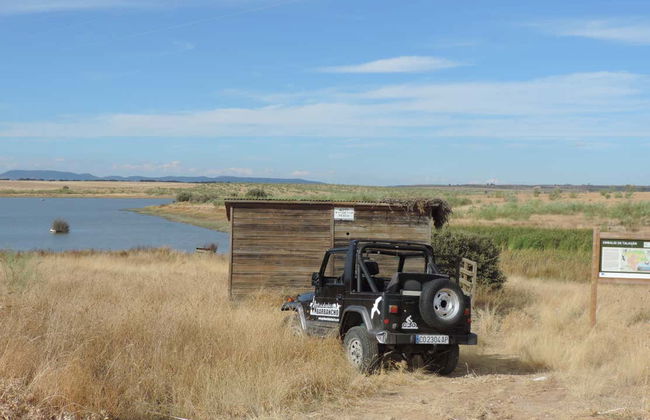 Observation d'oiseaux en Estrémadure - Photo 2