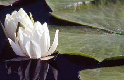 Relais Forti - Photo 30