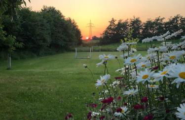 Erholung auf dem Land zwischen Ostsee und Schlei - Foto 15