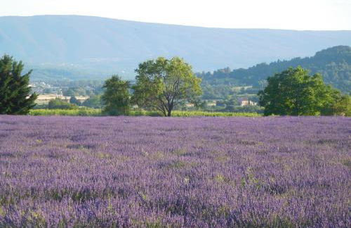 Le Petit Mas des Hauts de Beyssan, Maison de vacances avec piscine privative pour 2 personnes - Foto 14