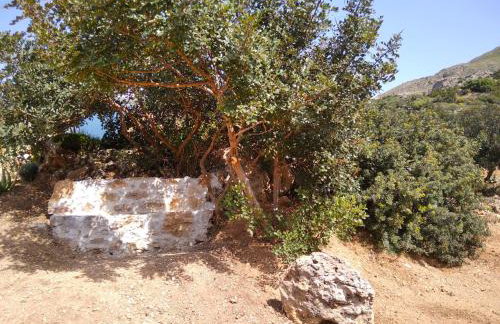 Roussa's House - Foto 60