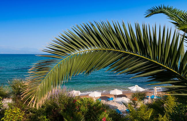 Grekis hotel & Apartments - Photo 29