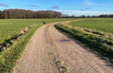 Wäscherei - Foto 13