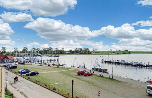 Seeschwalbe - Foto 34