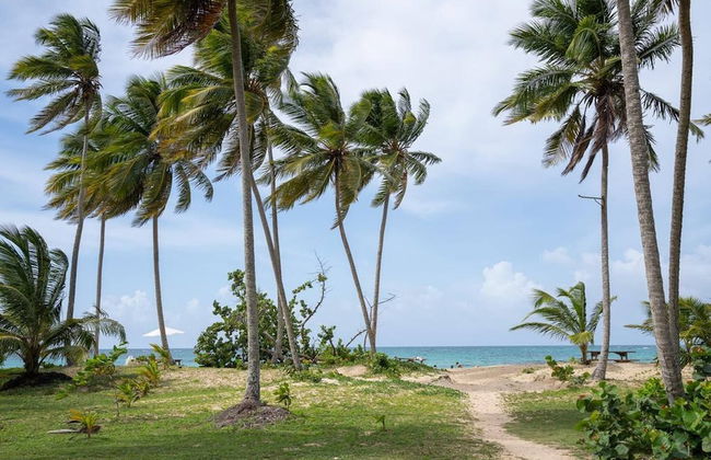 Villa Joyosa- Las Terrenas Beachfront Villa - Foto 42