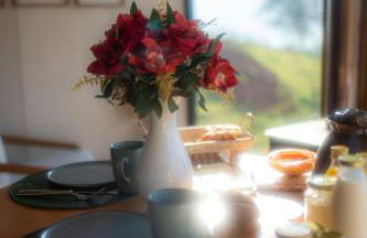 Cabana Tekoá - Teto de vidro e telão de cinema - Foto 17