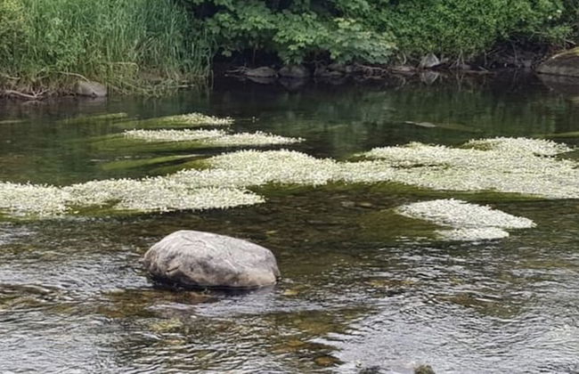 Holiday Cabin Sleeps 5 Caernarfon, Snowdonia - Photo 11