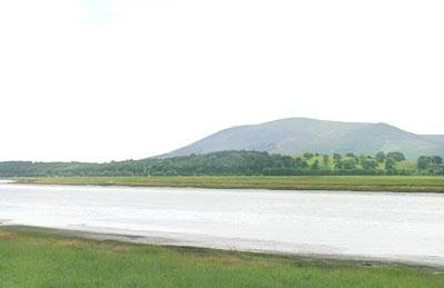 Martha's Shore Cottage - Photo 3