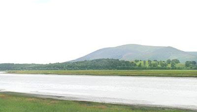 Martha's Shore Cottage - Foto 3