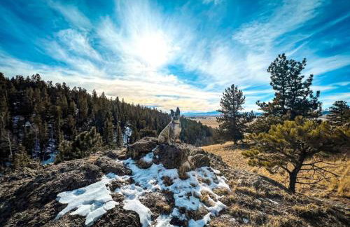Breathtaking ViewsTwo Bedroom Cabin with Hot tub - Foto 22