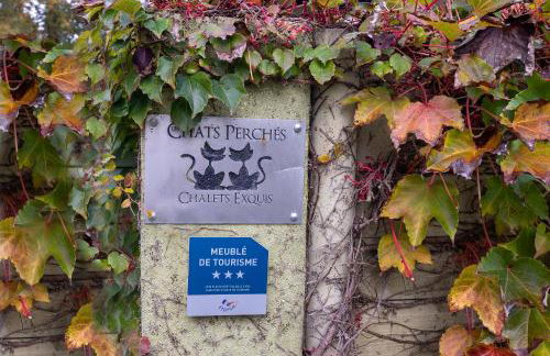 Les chats perchés 400m plage D - Foto 13