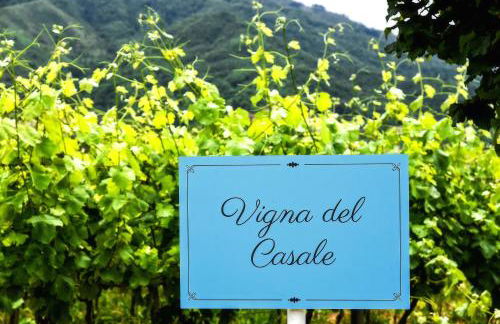 Agriturismo Guerritore - Foto 66