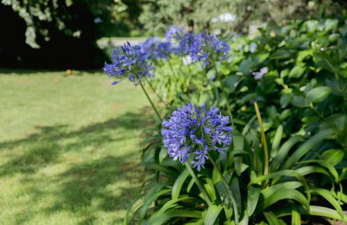 Cottage São Veríssimo - Foto 19