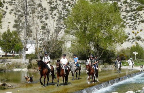 Apartamentos Tío José María - Foto 36