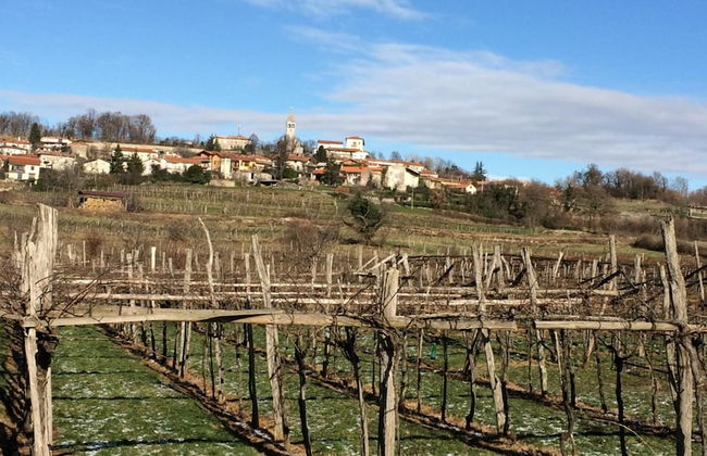 Villa Lavanda in Kriz Sezana With Private Swimpool - Foto 33