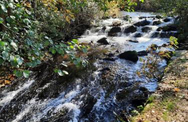 La clef des bois - cosy et calme au coeur de la nature - Foto 26