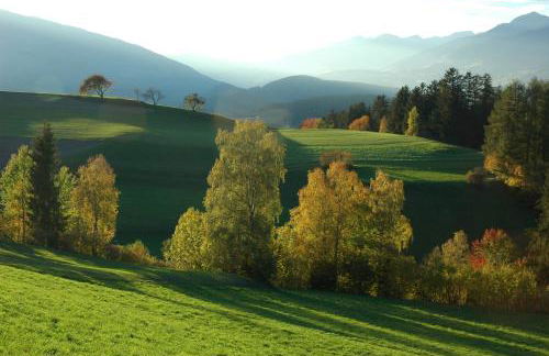 KRONPLATZ CHALET WALCHHORN - Brunico, Dolomites - Foto 44