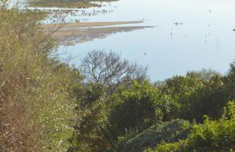 Quinta das Figueiras - Foto 39