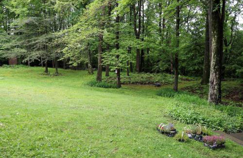 Large home with hot tub in serene wooded setting - Foto 47