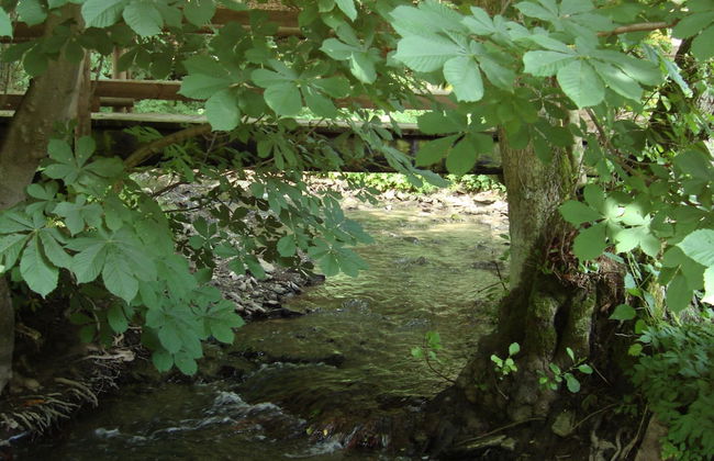 Cosy Apartment in Hallenberg Near Centre - Foto 39